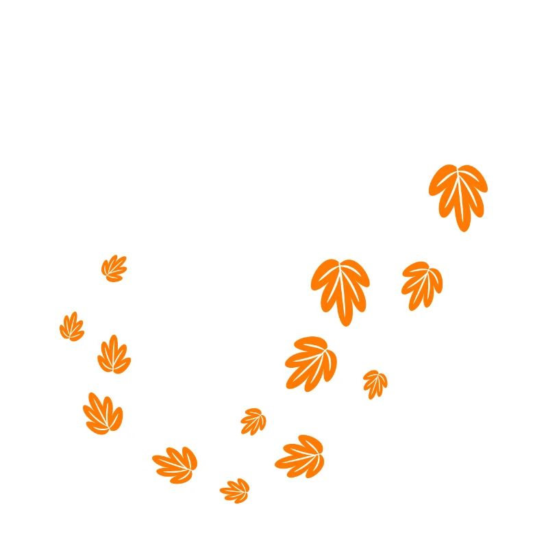 Feuilles d’automne dans le vent