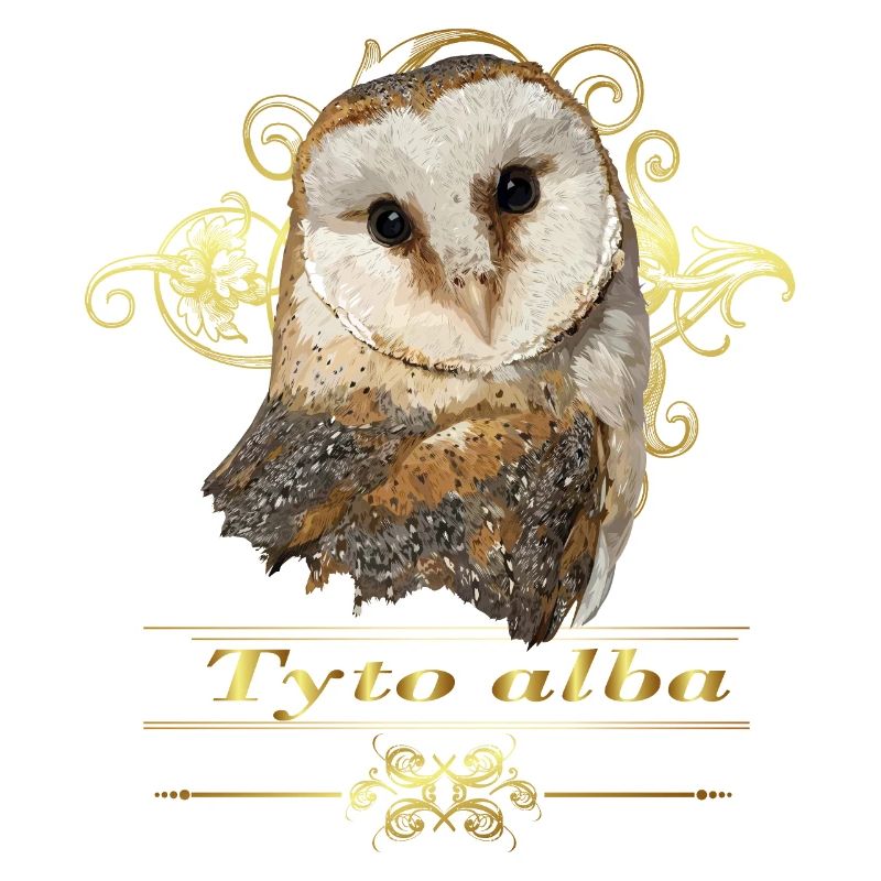 Bell owl
