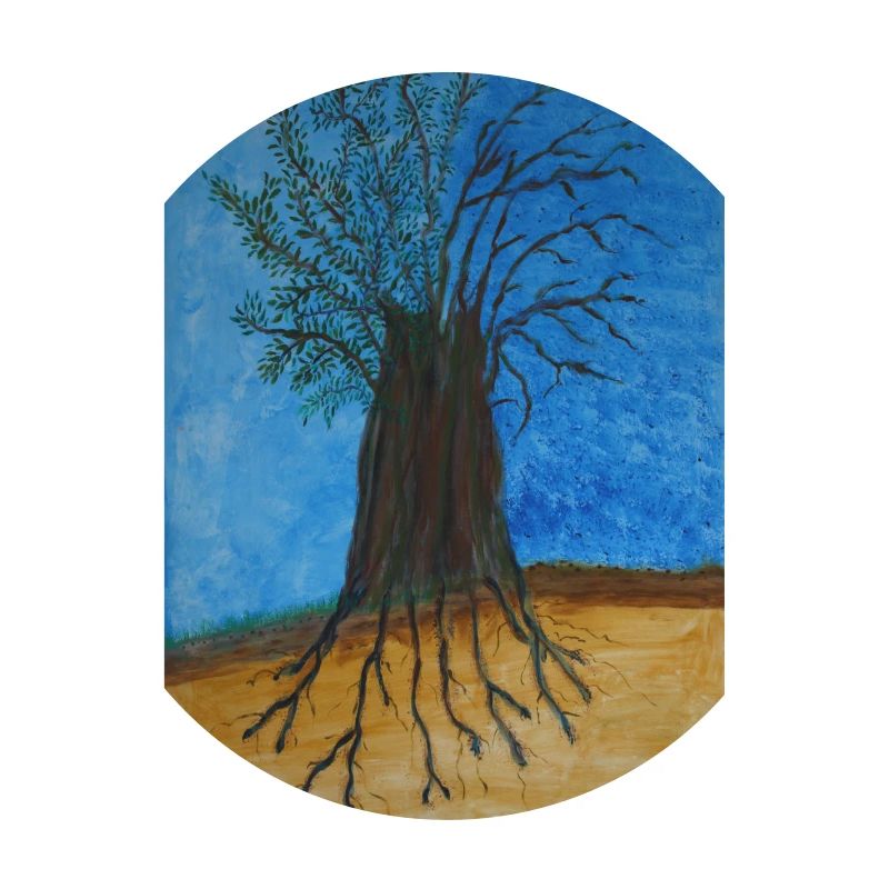 L'arbre dans la Classification de Raunkier