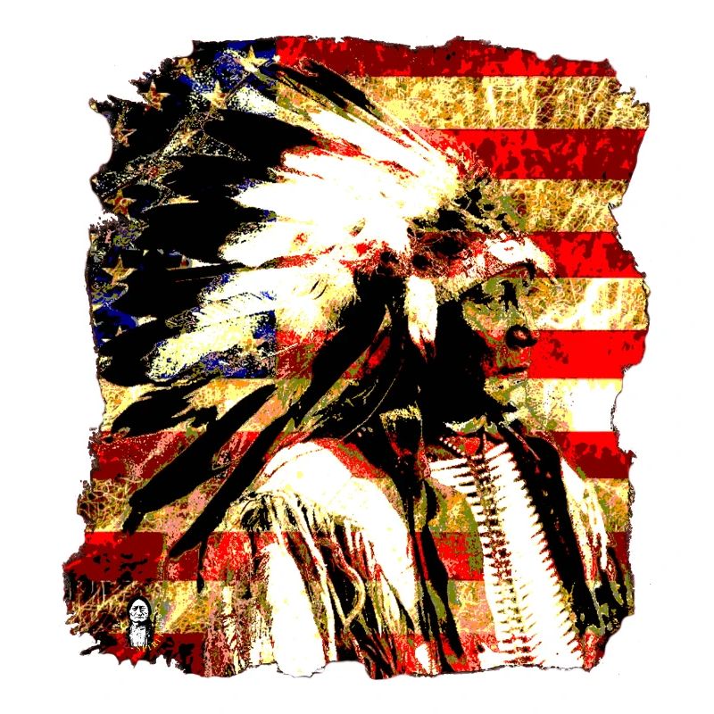 Chef collage sur USA Drapeau 2