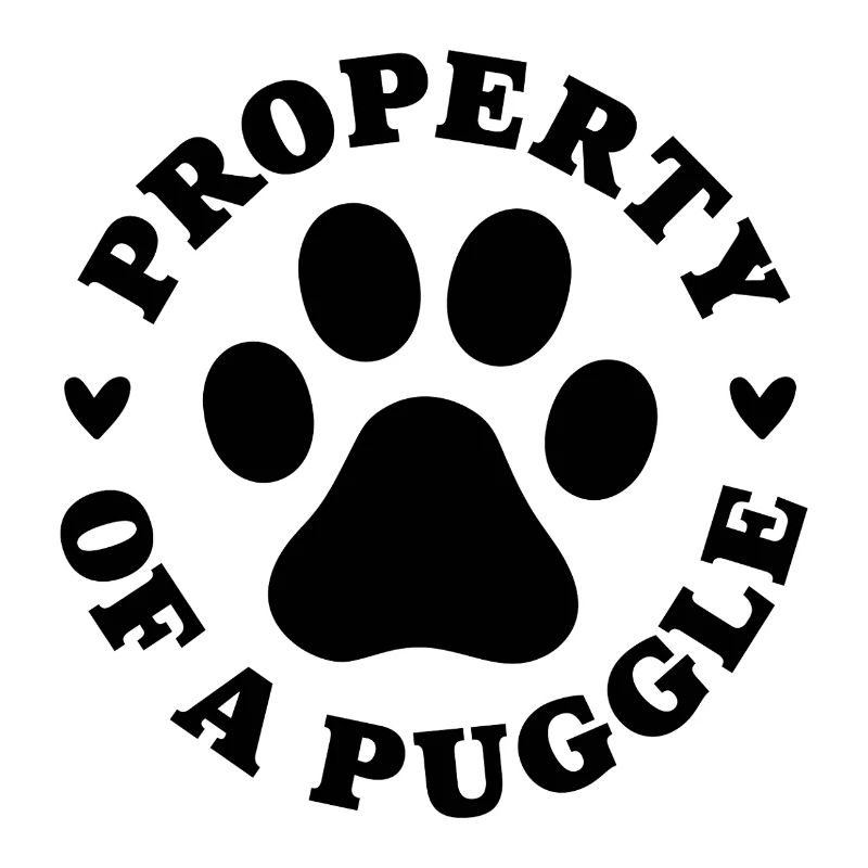 Propriété d’un Puggle