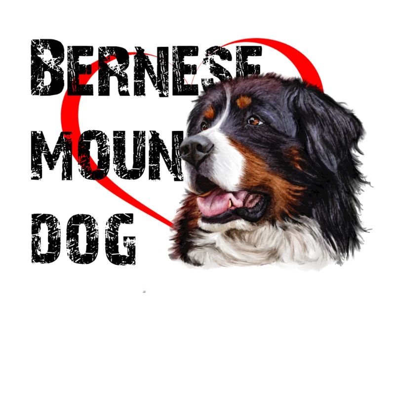 Bernese mountain dog