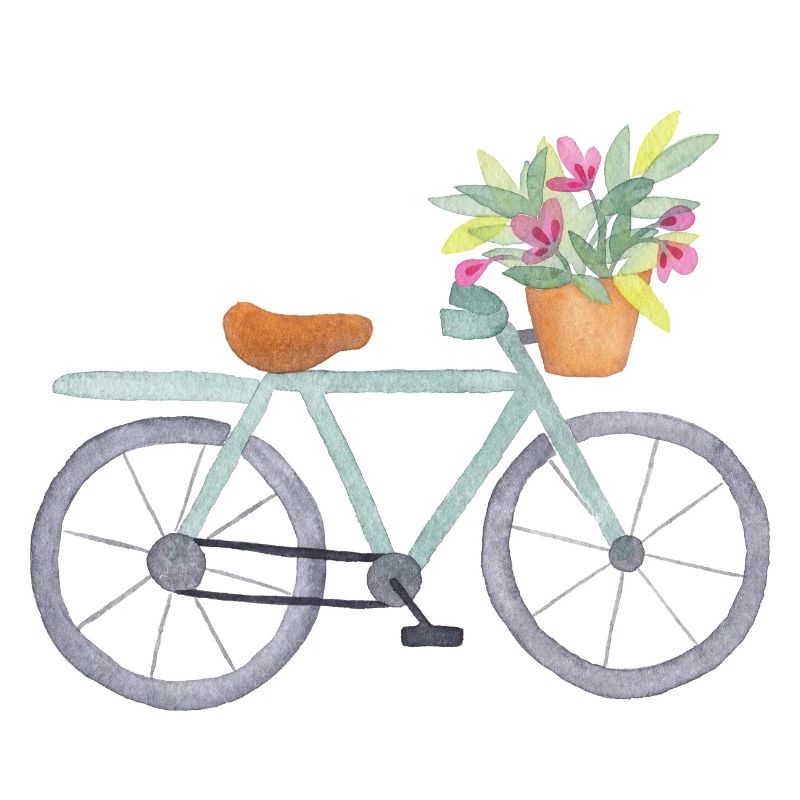 vélo fleuri