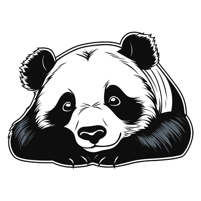 Panda Illustration