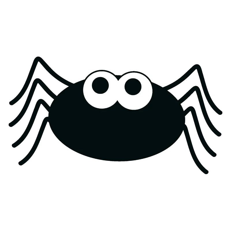 Spider Spinne