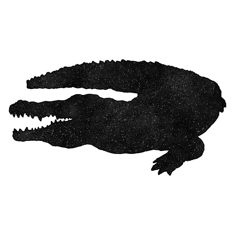 Crocodile