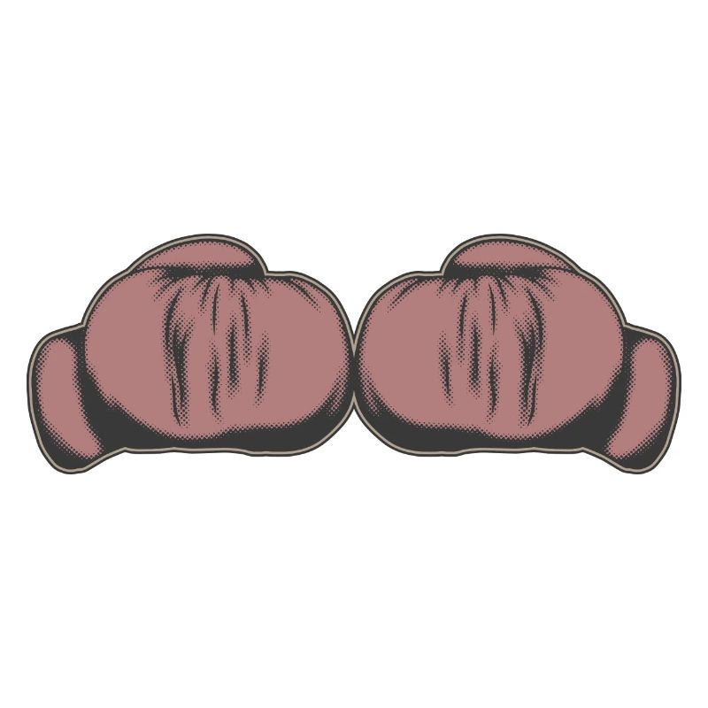 Boxhandschuhe