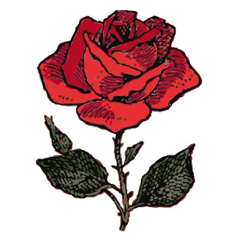 rose