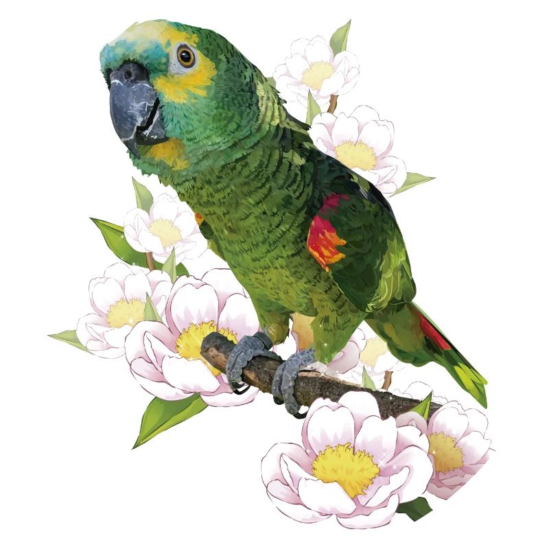 The blue-fronted amazon