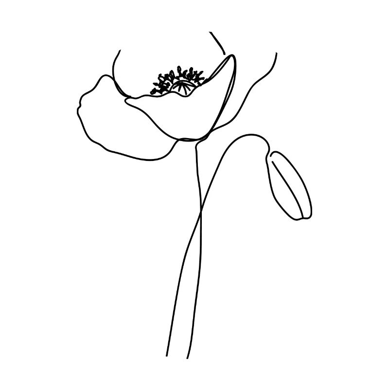 Coquelicot