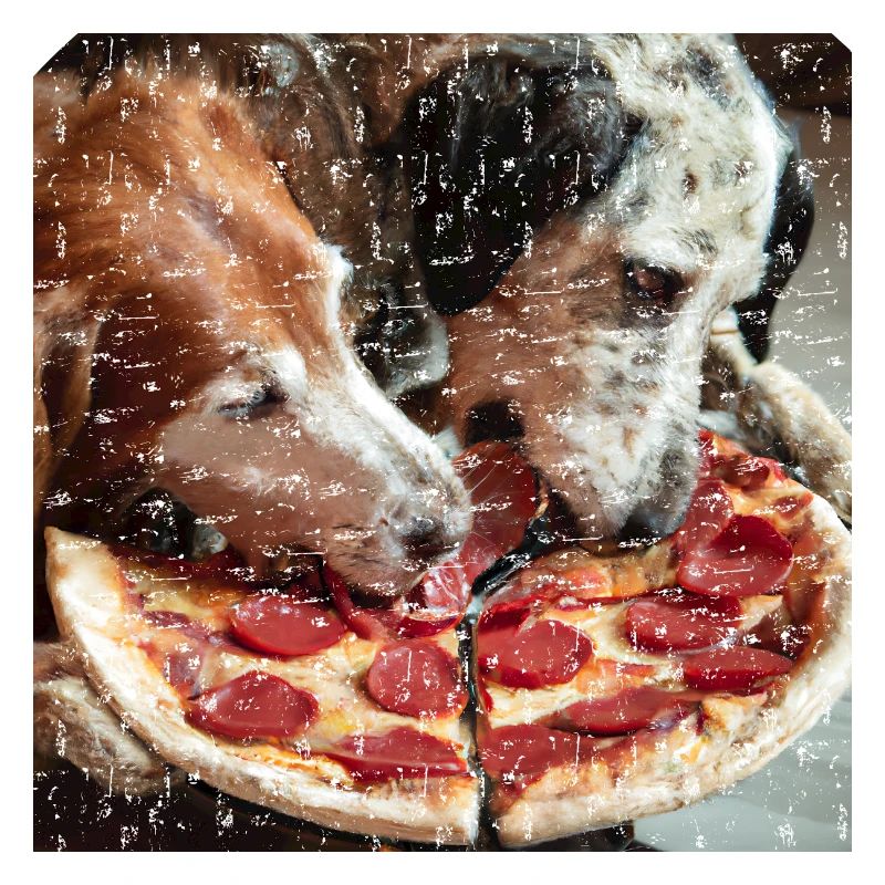 Deux chiens mangeant de la pizza salami