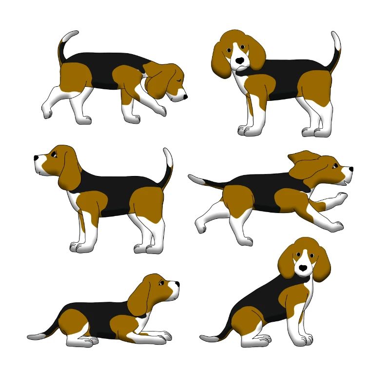 Beagle selection
