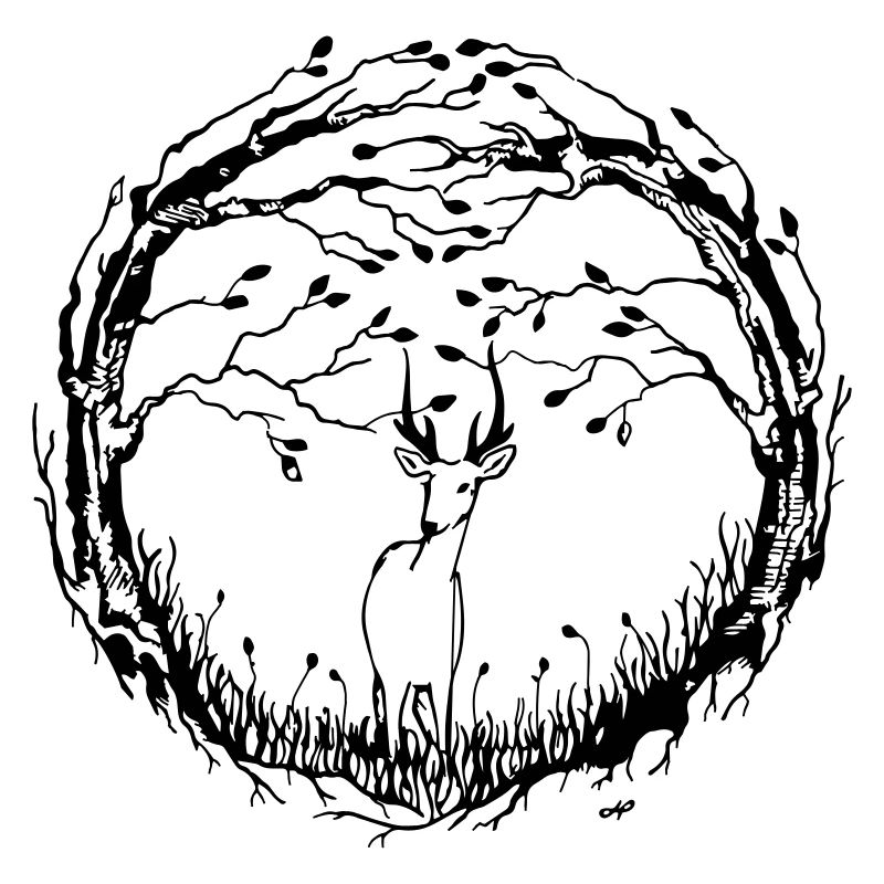 La forêt