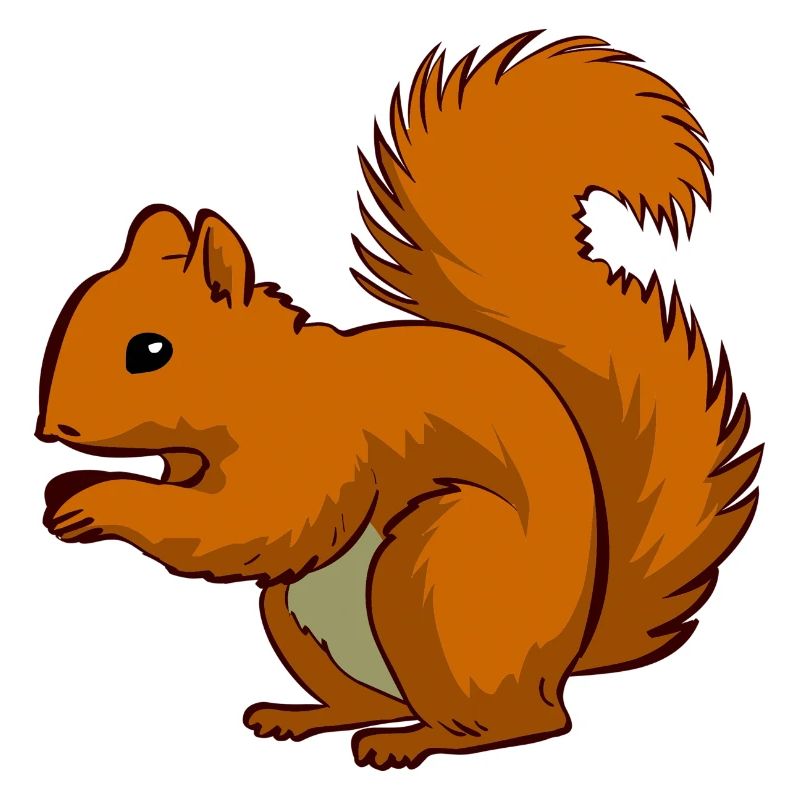 Ecki das Eichhörnchen