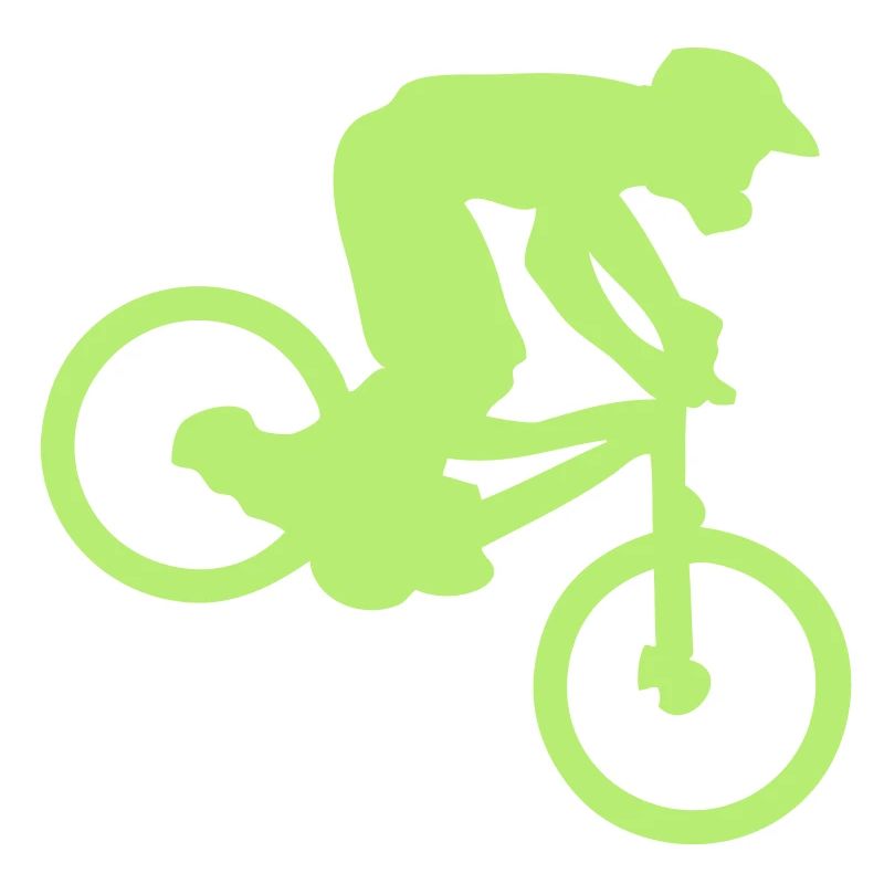 DOWNHILL MOUNTAIN BIKER