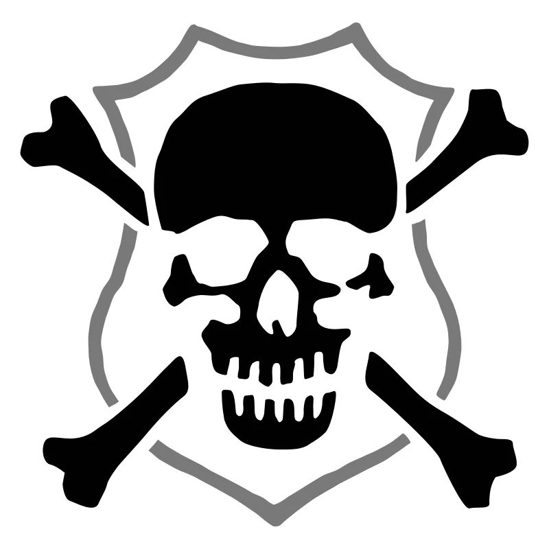 skull_032013_a_2c