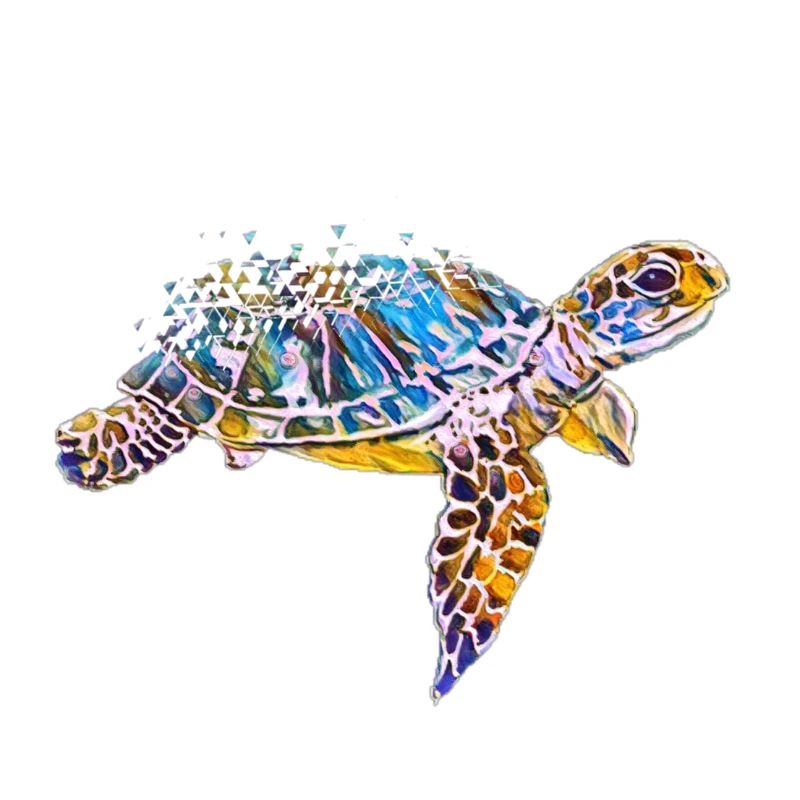 turtle
