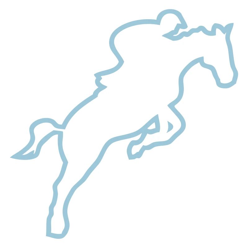 equitation cavalier obstacle cheval trace saut h