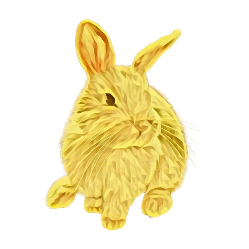 Lapin