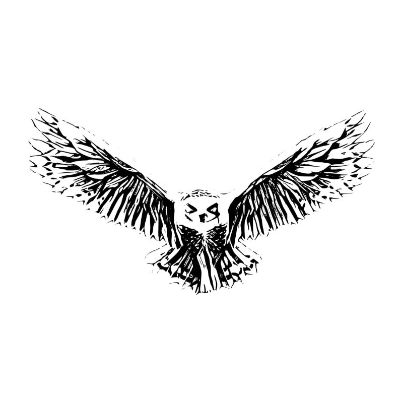 owl