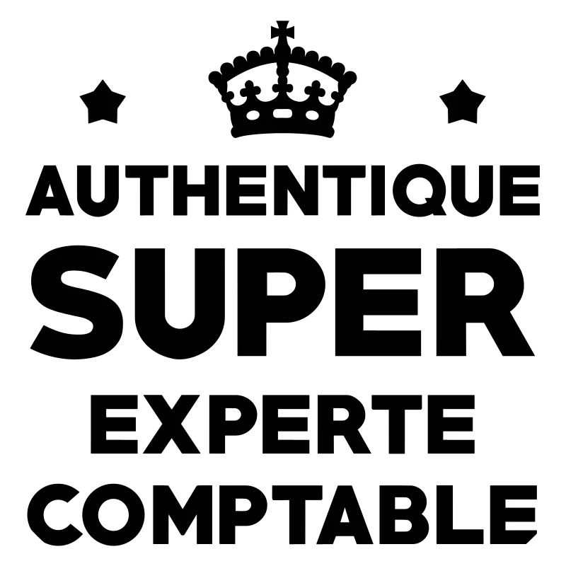 Expert Comptable / Comptabilité / Comptable /