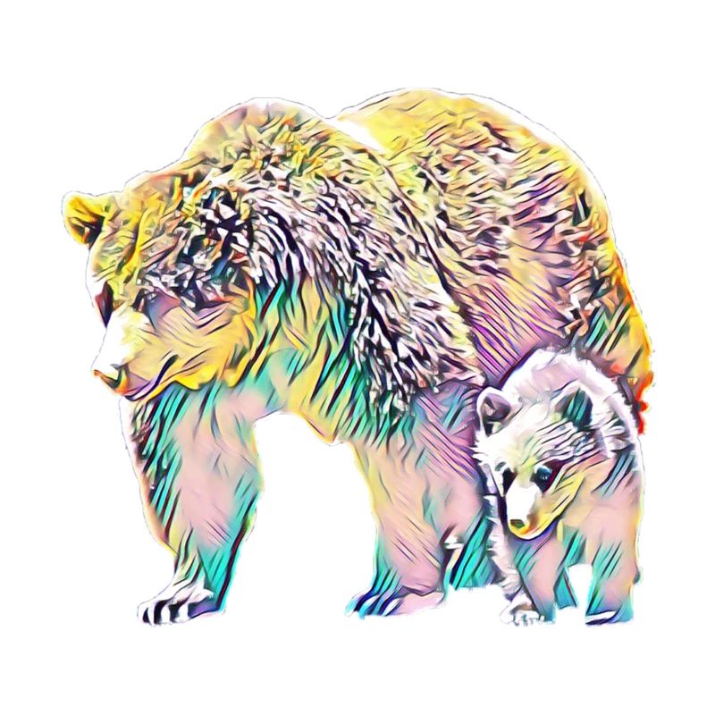 Bears