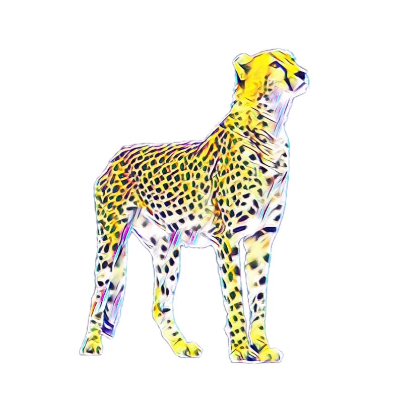 Guépard