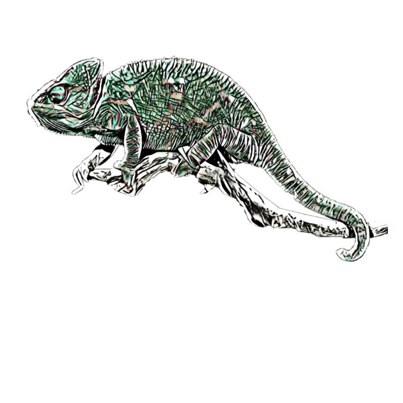 chameleon