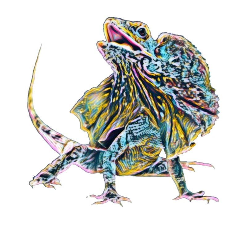 frilled lizard