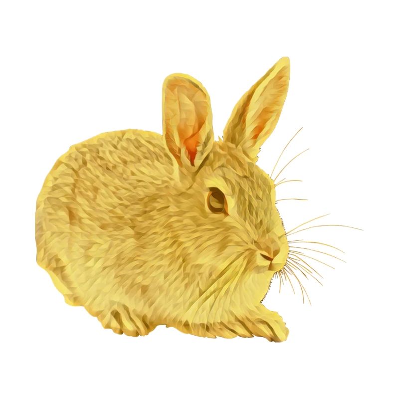 Lapin