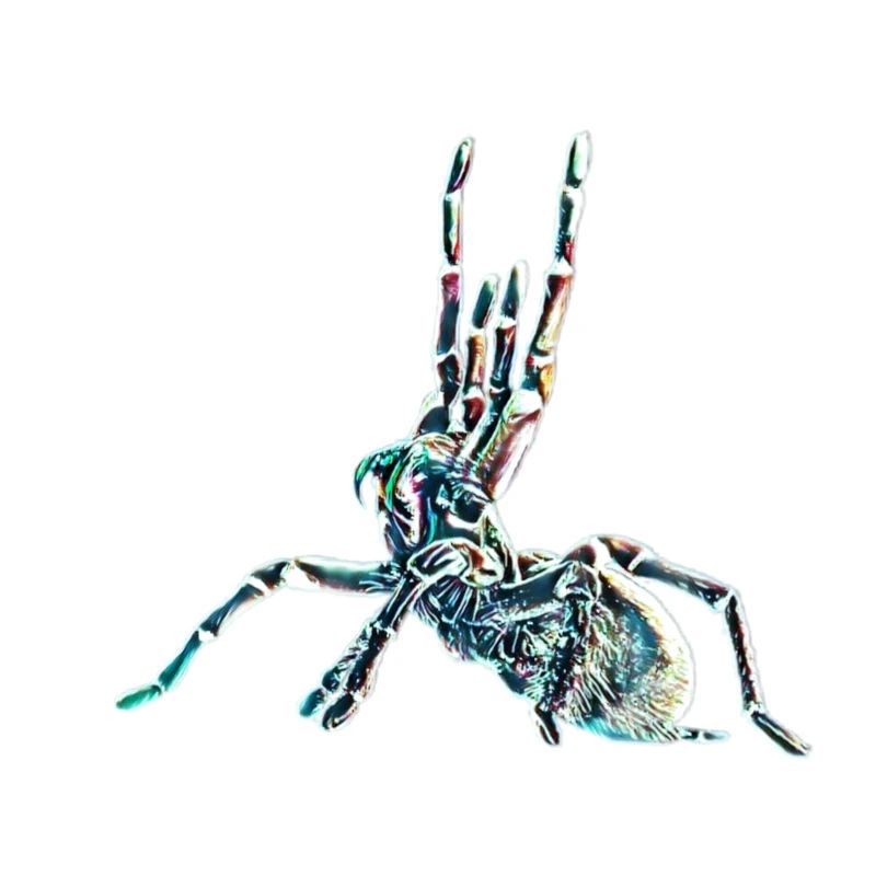 Tarantula