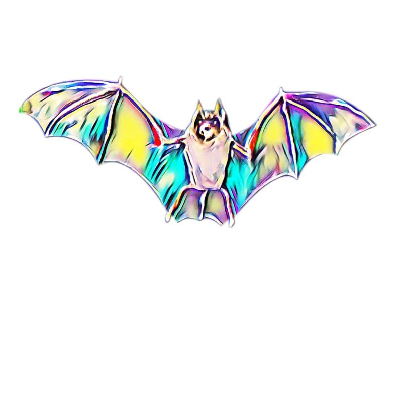 Fledermaus