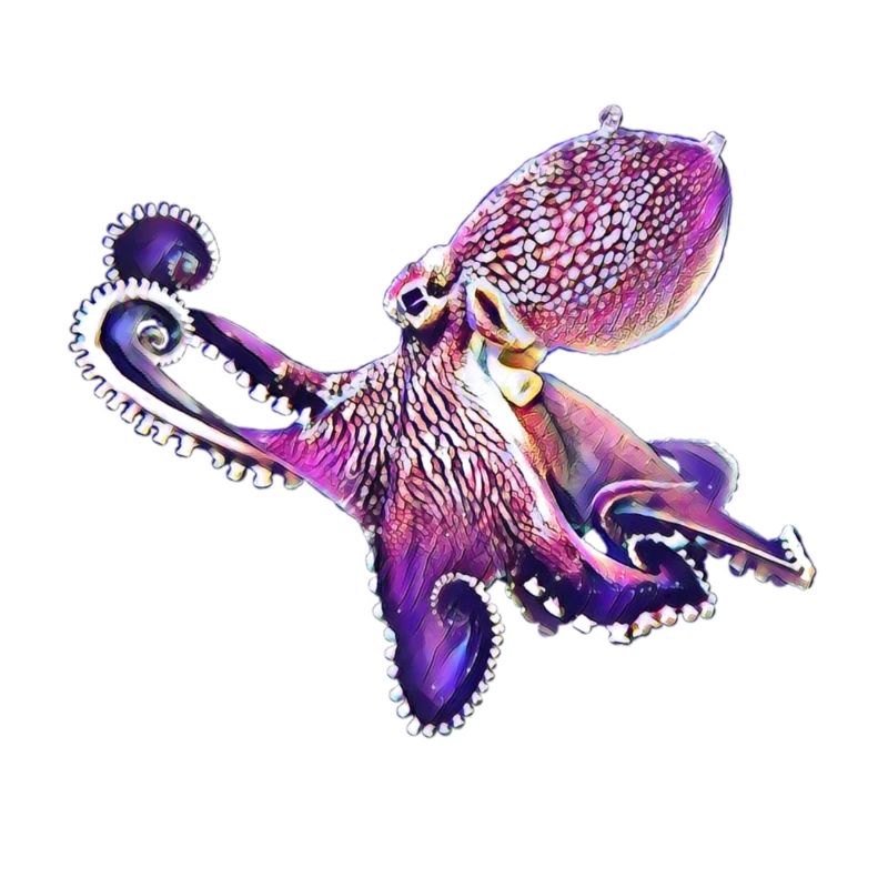 Octopus