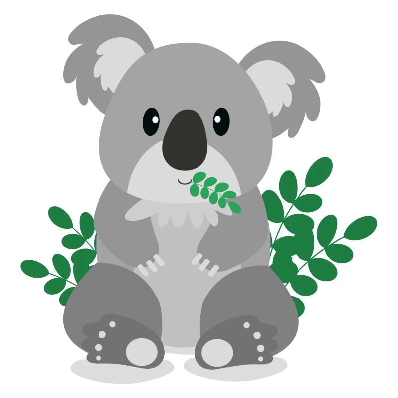Koala
