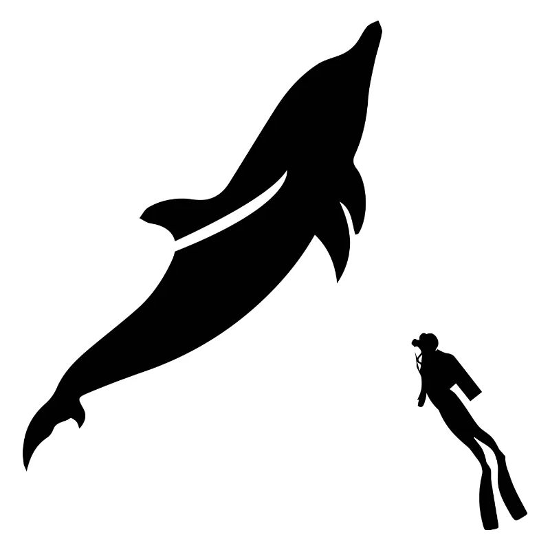 Diving Dive Dive