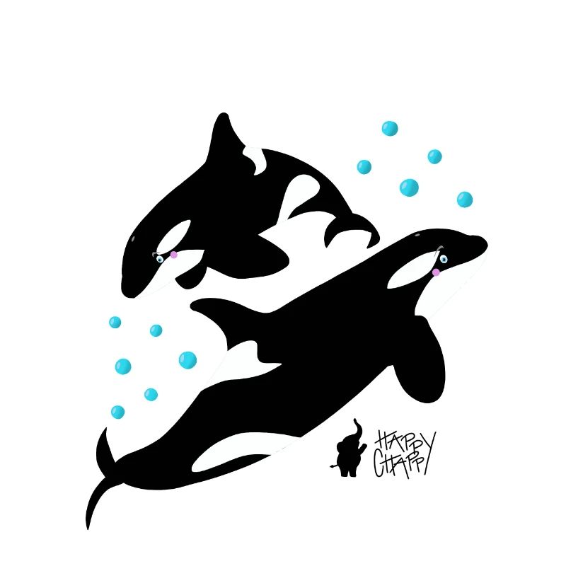 Orcas im Meer