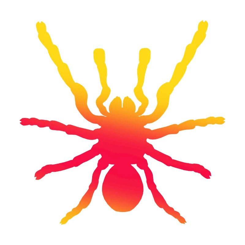Spider, arachnid