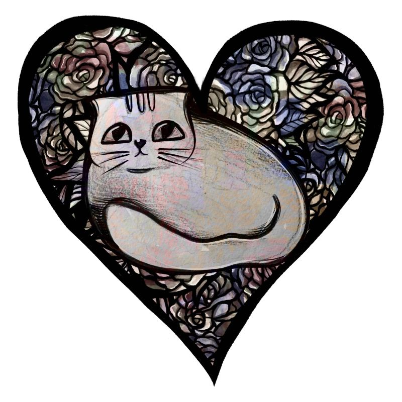 Chat Blanc Kitty
