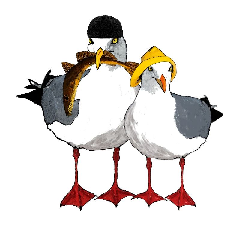 Möwe Jonathan und seine Emma