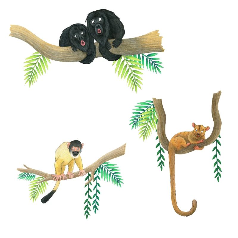 funny monkeys