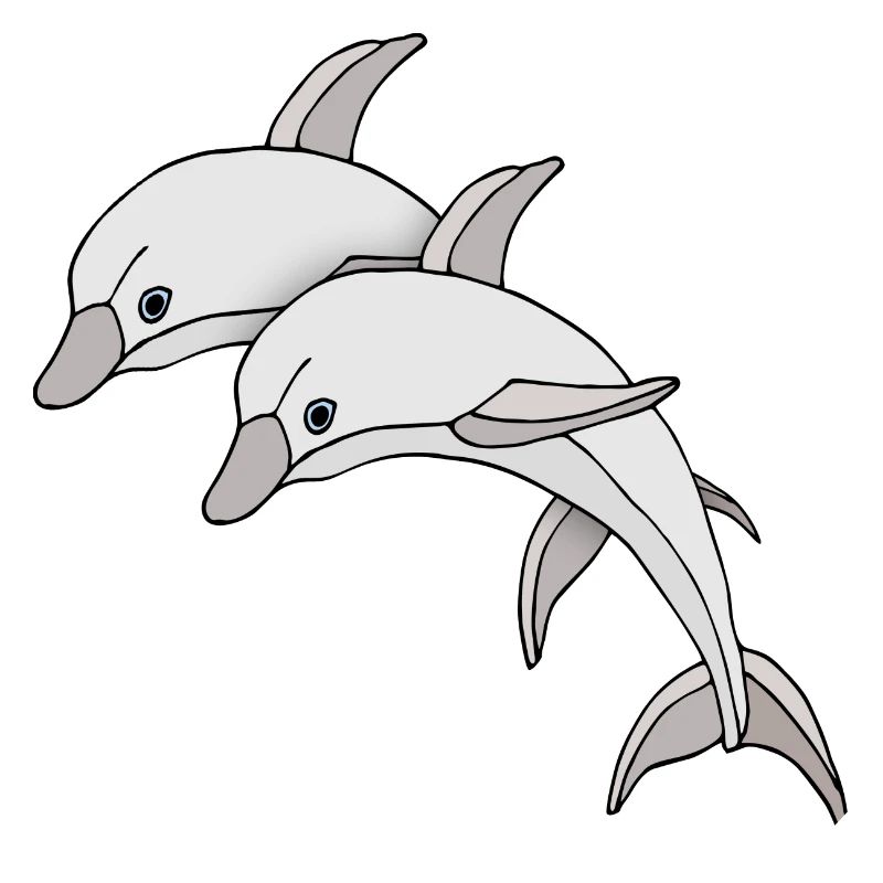 Dolphins