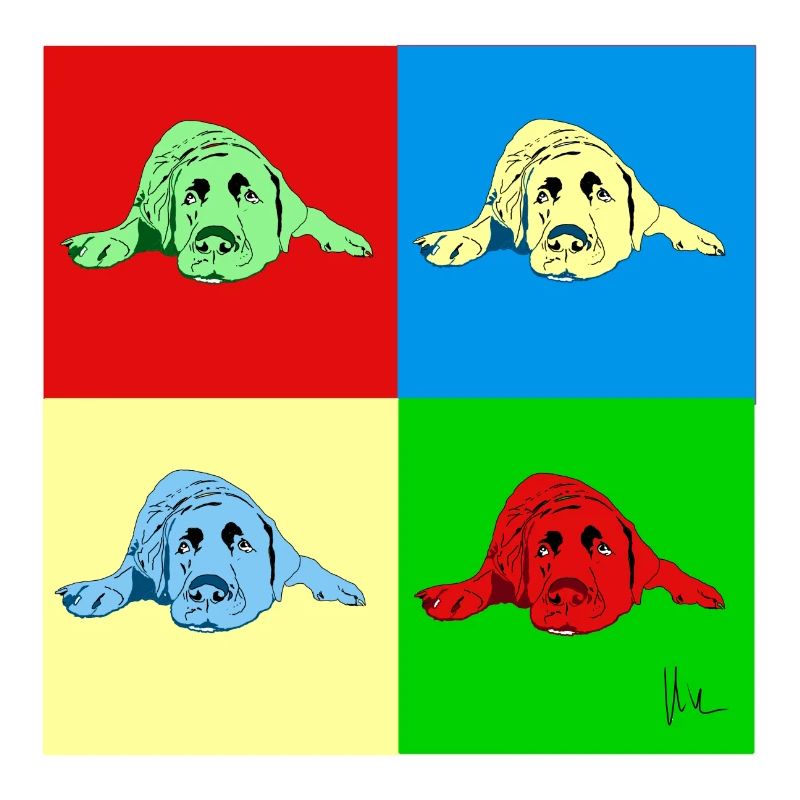 Labrador