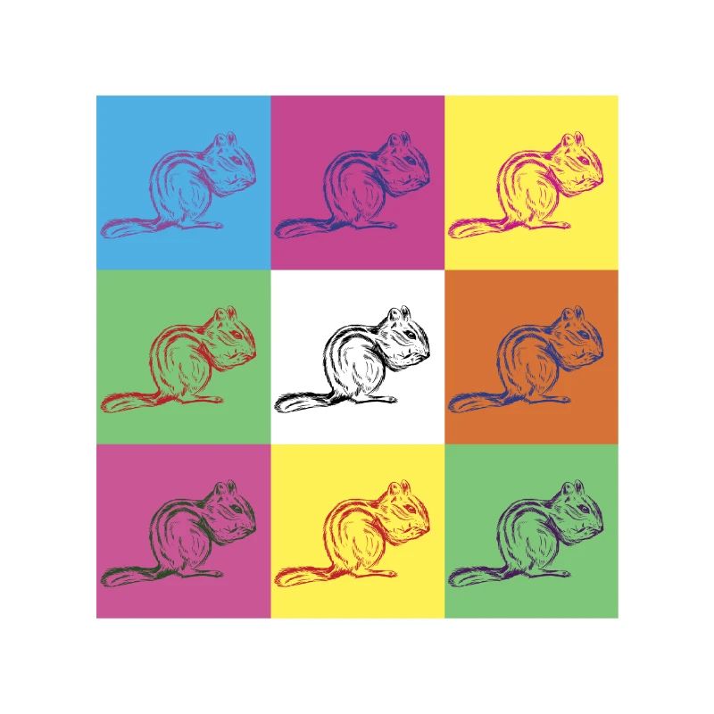 Squirrel Design