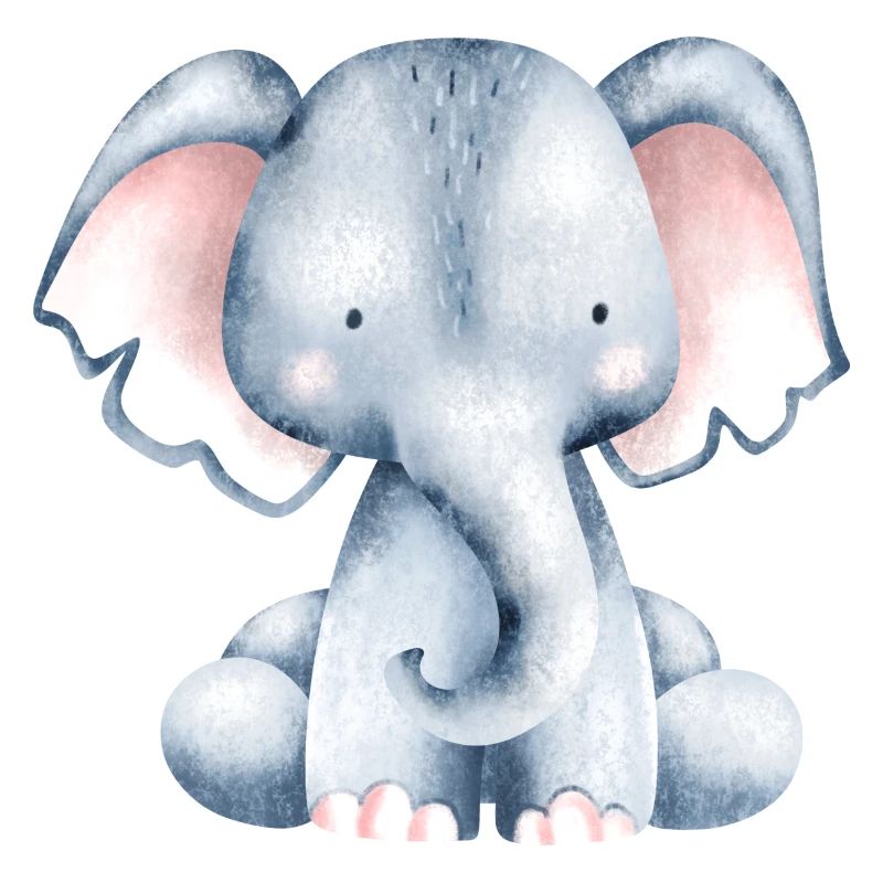 Cute little elephant