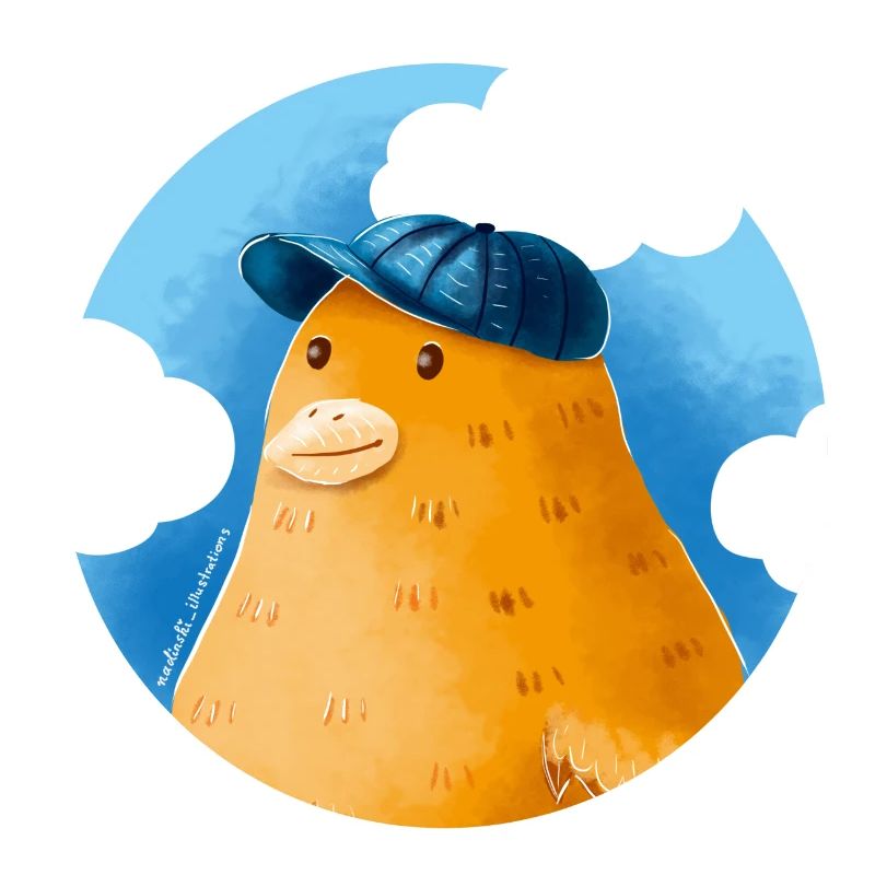 Duck with hat