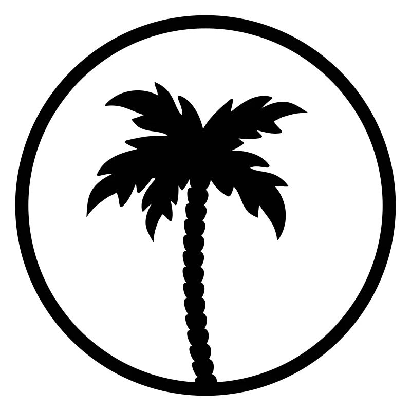 palm tree
