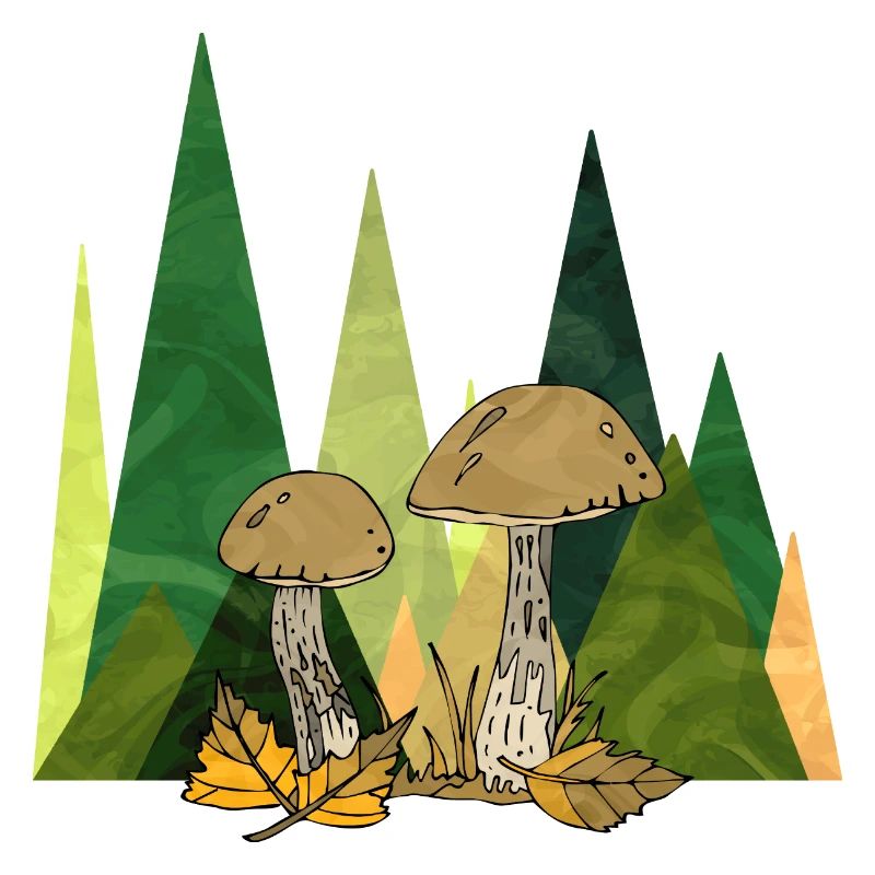 fungi