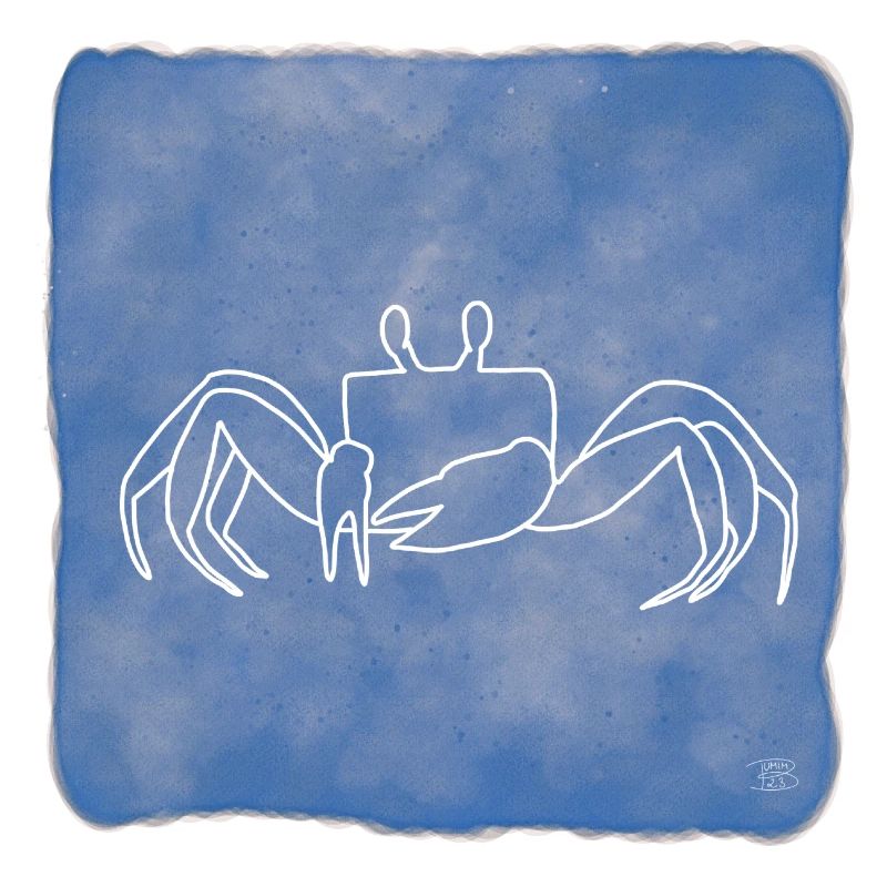 "Crab", Boho Line Art Design, Series "Ocean"