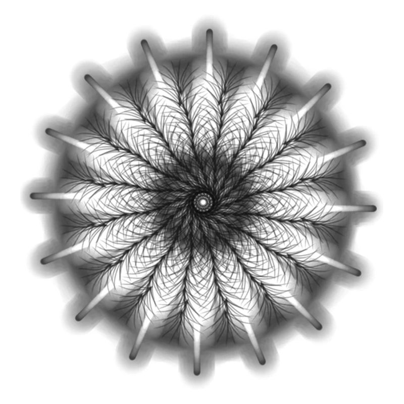 Illusion