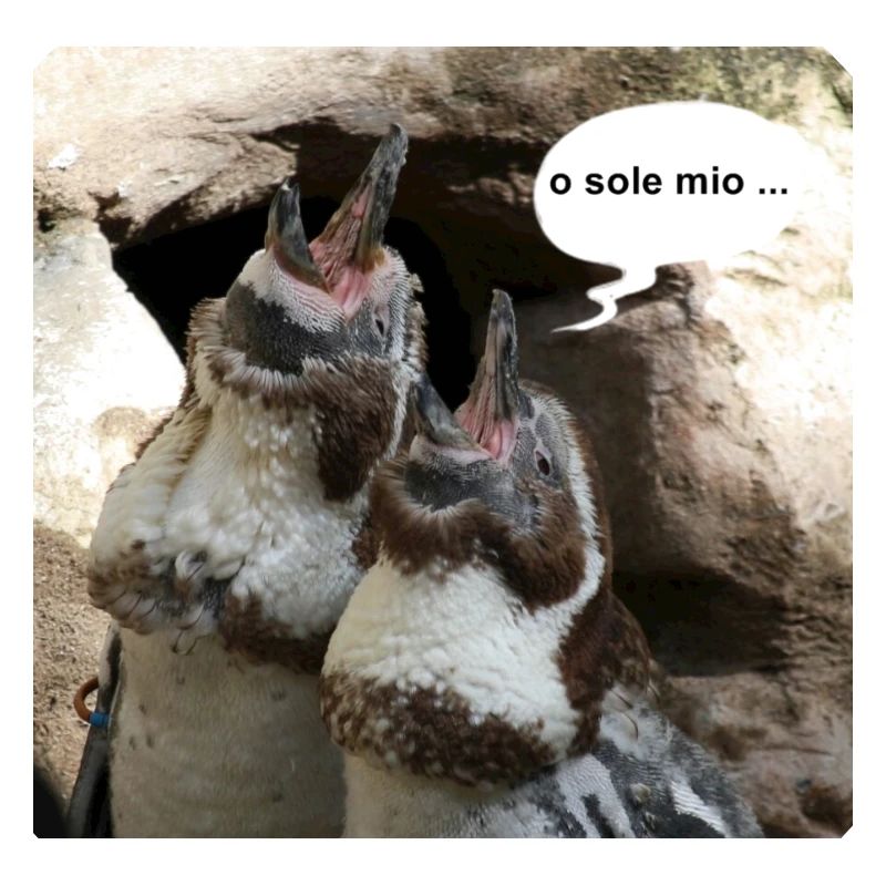 Pinguine